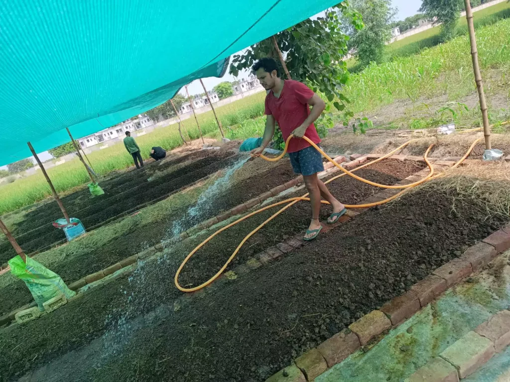 Vermicompost making